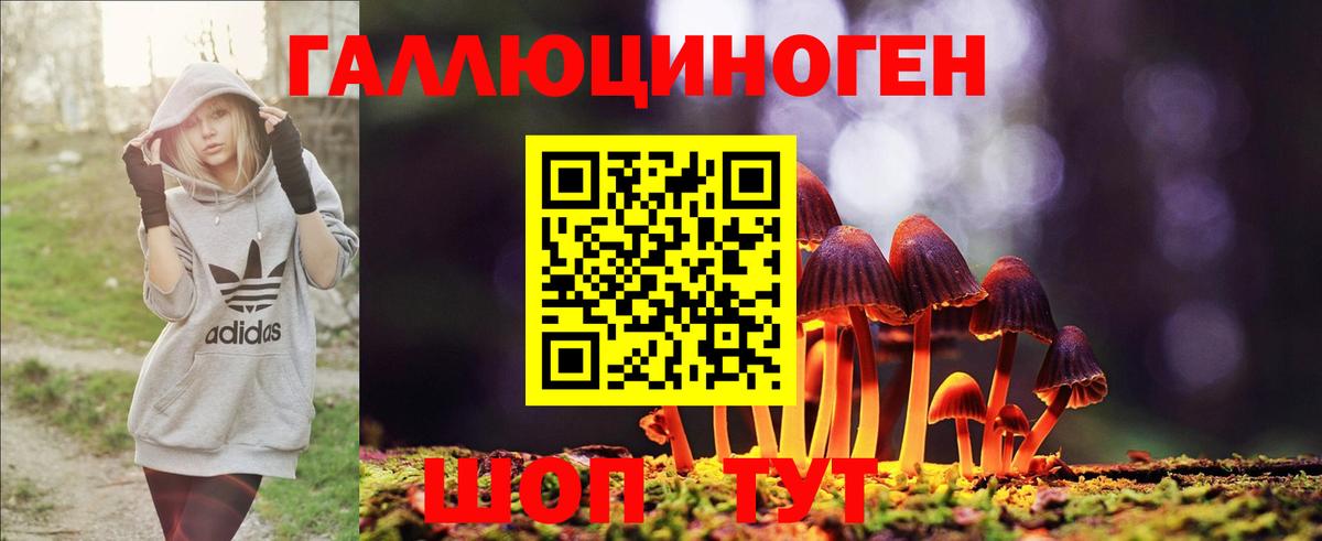 Галлюциногенные грибы Magic Shrooms Ступино