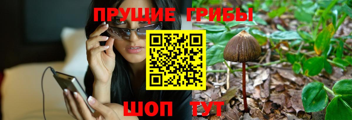 Ступино  Галлюциногенные грибы MAGIC MUSHROOMS  Вход с VPN  Галлюциногенные грибы Cubensis 